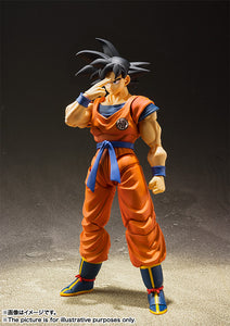 Bandai S.H.Figuarts SON GOKU(Saiyan Raised on Earth)