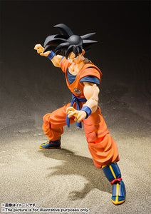 Bandai S.H.Figuarts SON GOKU(Saiyan Raised on Earth)