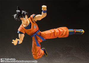 Bandai S.H.Figuarts SON GOKU(Saiyan Raised on Earth)