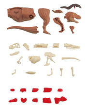 Load image into Gallery viewer, MegaHouse Kaitai Puzzle Science - Tyrannosaurus rex (T-Rex)