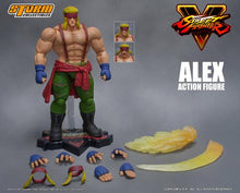 Load image into Gallery viewer, Storm Collectibles Street Fighter V Alex Action Figure